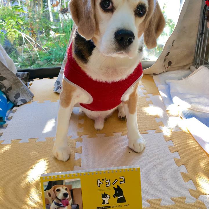 Ffc71e9a 360f 4619 91f3 bd733e93baae