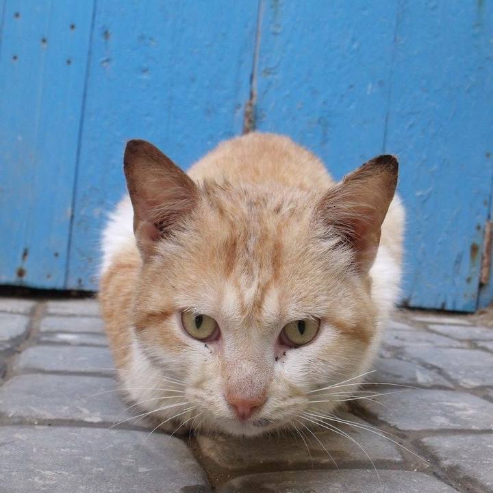 Ffc7e6c2 2b64 4380 94d7 f8843fb4810e