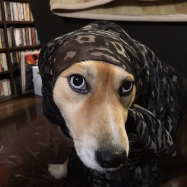 Ffc81b6e 3d8a 43f7 a5bd a32829e0eaae