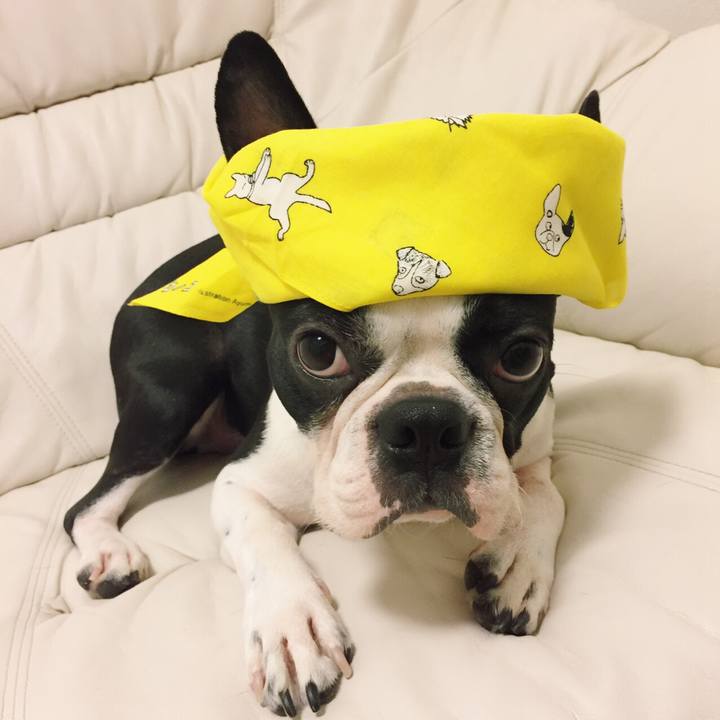 Ffc820dd b11a 4a07 8c28 38ec72f8d3e3