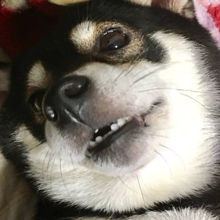 Ffc839de 2e67 4d5c 8d29 b20ea4cc6fd0