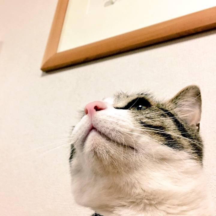 Ffc900aa b03c 47bb a870 b8532168eb6b