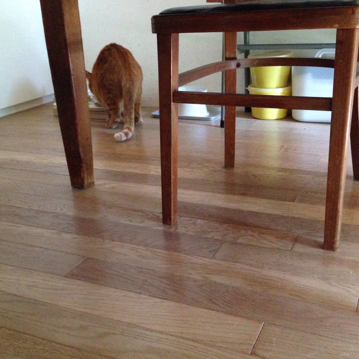 Ffc9347d 3029 4ddf a299 2949cfcd0cb7