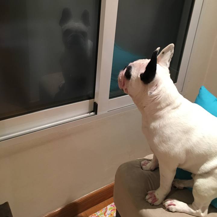 Ffc9cd52 45f1 44a7 8133 f9ef9045511d