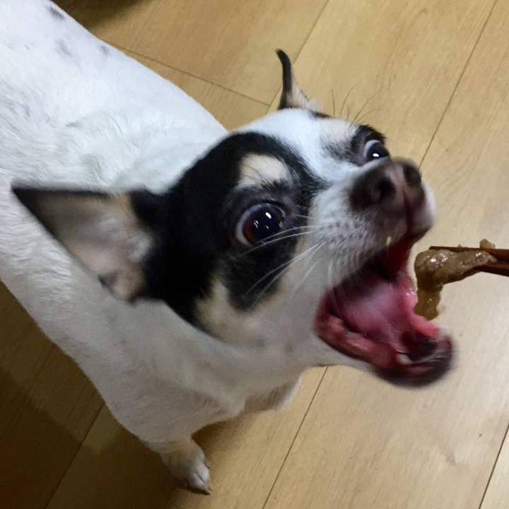 Ffca051f dce4 452b 9122 64ffb91fb3a7