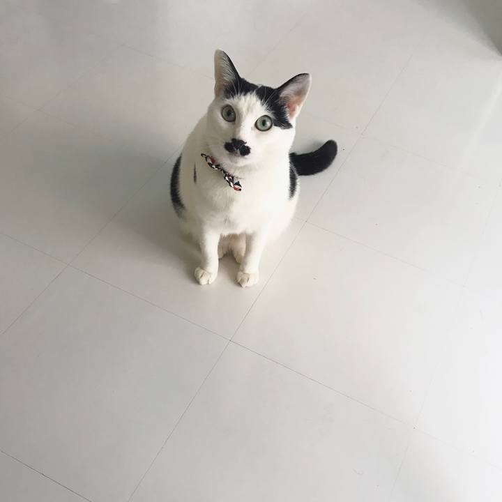 Ffcb1f39 ec7d 4022 871d 754b0e3ed9d9