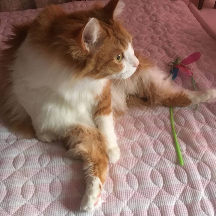 Ffcb4f90 fb31 4e4f 8fab 9be9df6d00ae