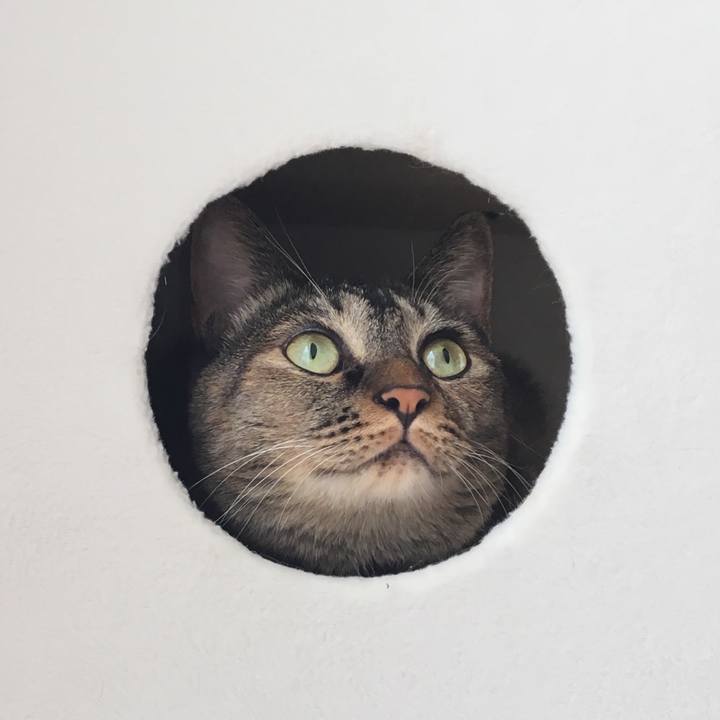 Ffcb7d9c 84ac 4a80 86bb e08ce66a89df