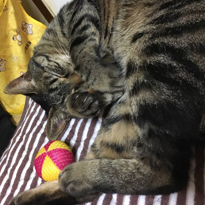 Ffcc55cd 6c54 456d 8379 3187ff73e62f