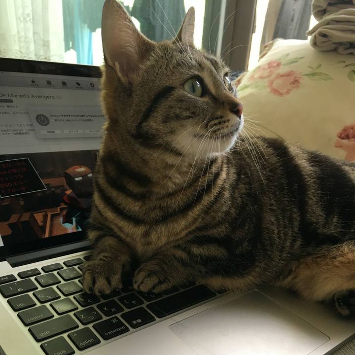 Ffccc10f 3cb5 42b0 bdd3 5a3c45b08650