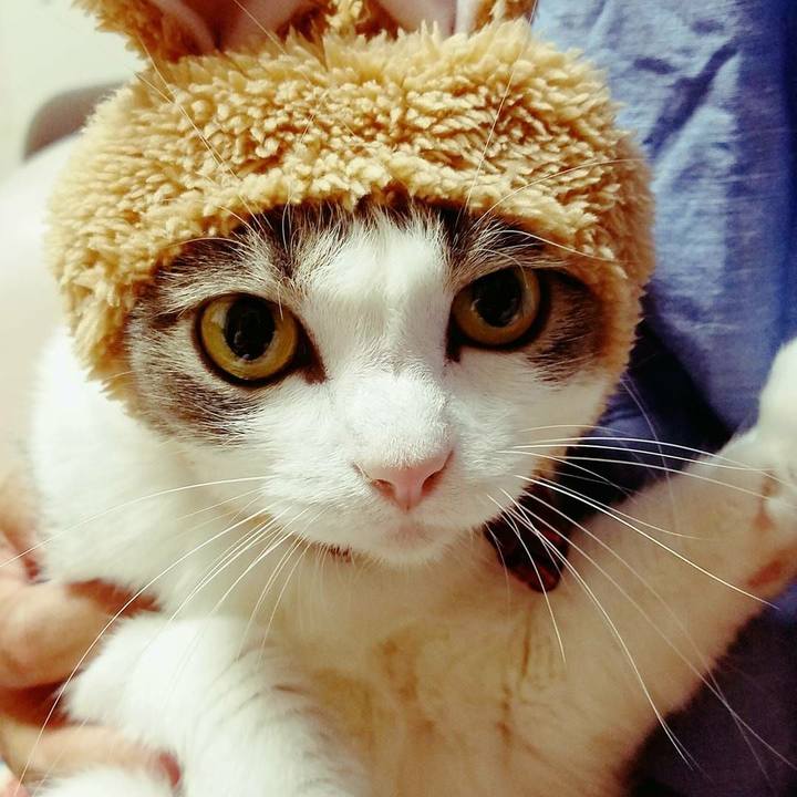 Ffccd2f7 d1ff 46c9 934d 04c30e0b3a21