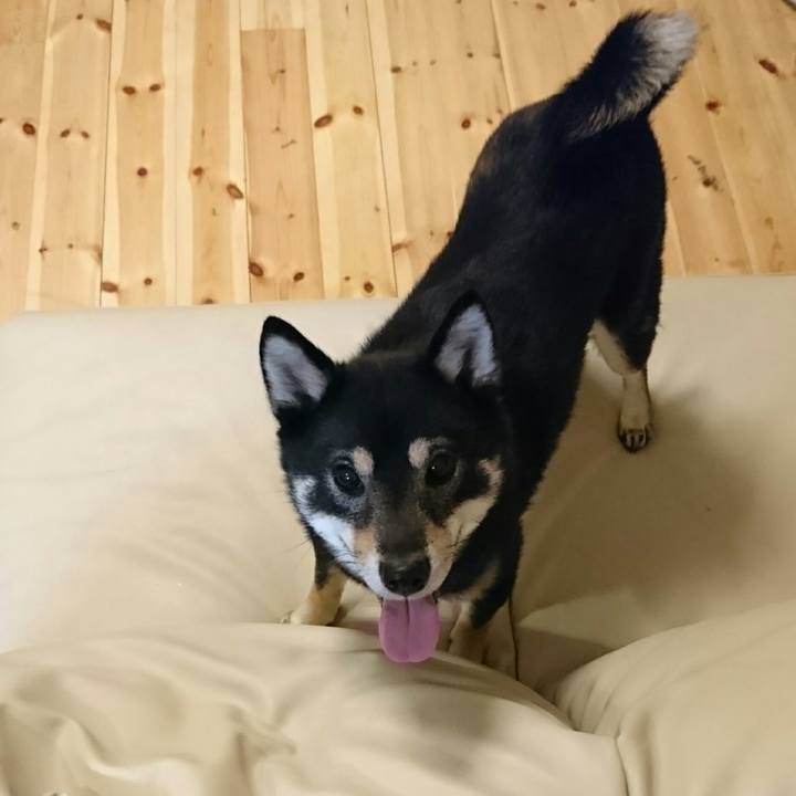 Ffcdb78c 3c23 41fc 9b38 ed53a406c48c