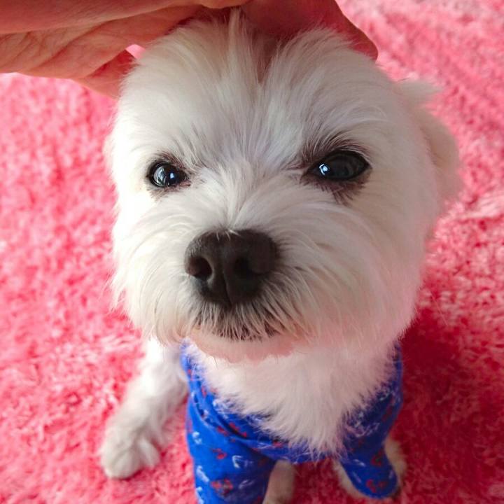 Ffcdeb5a 67f5 411d 96af 99a78c58603c