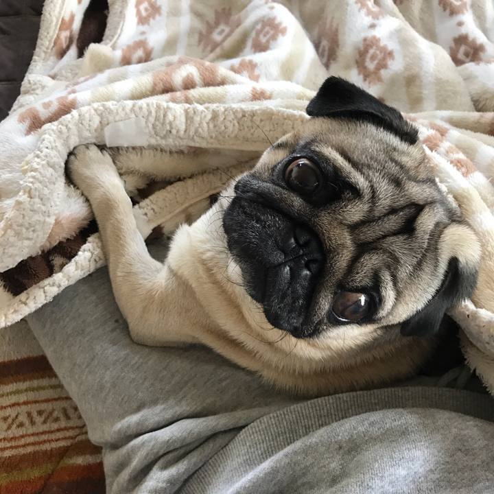 Ffce9937 3c17 4d6d 968f 1961581bfbb1