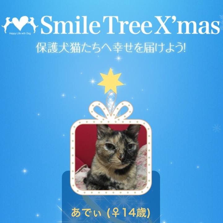 Ffcfa6b4 7124 4c2b 9a08 91ecf9212a7e