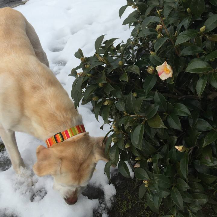 Ffcfb296 1c03 4c0d 9829 dc64be7ecceb