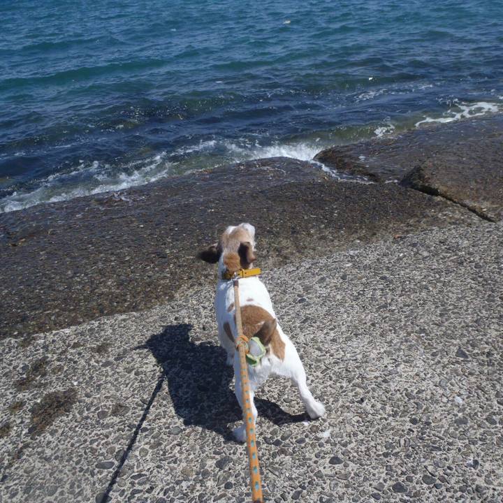 Ffd00c92 fa11 44ee b482 20daadde0202