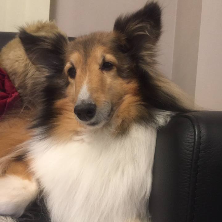 Ffd05952 30c0 4a8f bdc3 e530695654a2