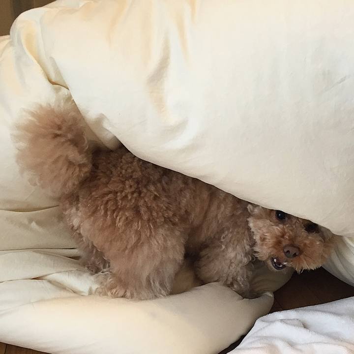 Ffd05a05 6fa3 4849 8dda 14cb76d464c4