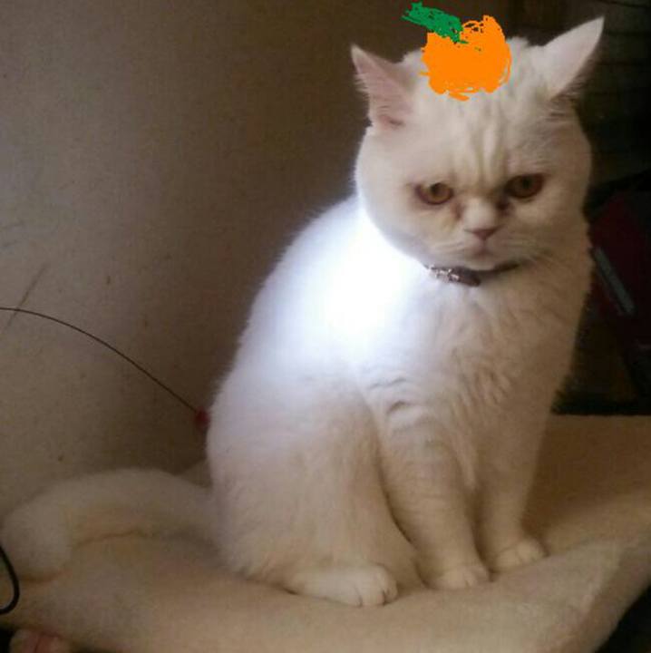 Ffd0e3e5 1aaf 427c b9e2 865ed1332316