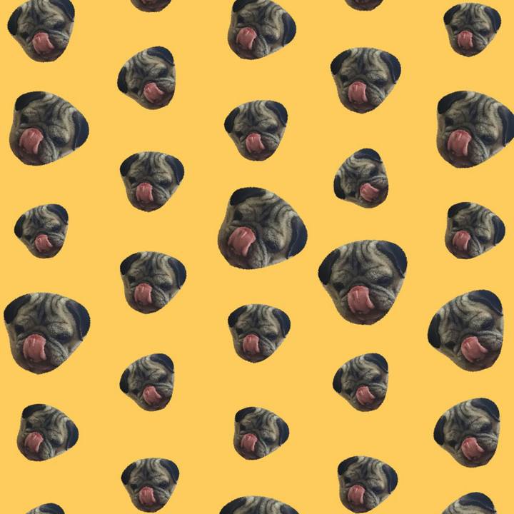 Ffd0eb3c 8a6a 4a67 aee6 964be494fd40