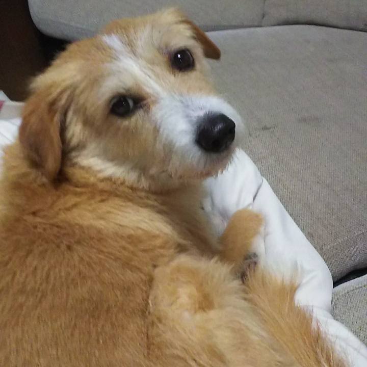 Ffd10a7e 26a3 41fc b53a 4cfc9272fcff