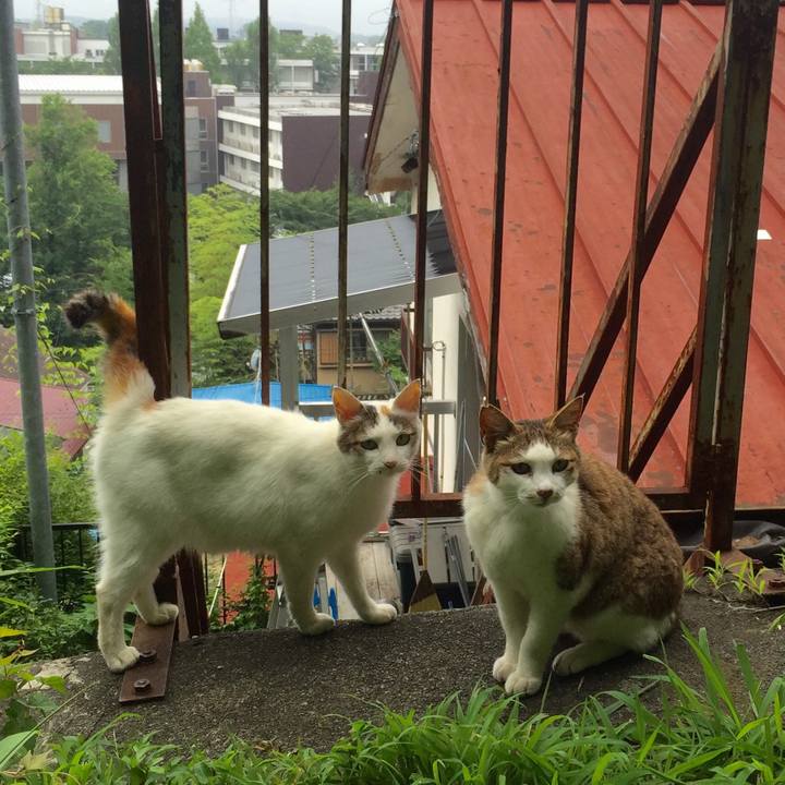 Ffd16f83 311d 49de 85ae 43946efa5d0c