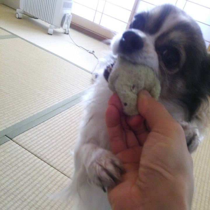 Ffd19280 b0b3 4294 b905 74ab7c2ad477