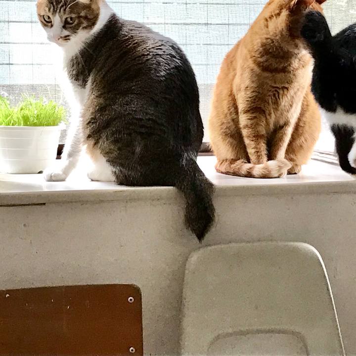 Ffd194a3 d182 46fb 899e 4f6e2263b4ff