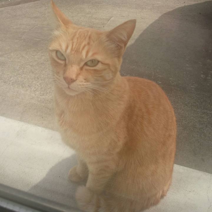 Ffd1b461 34ac 46e7 a0fc 6c25b6ae79a6