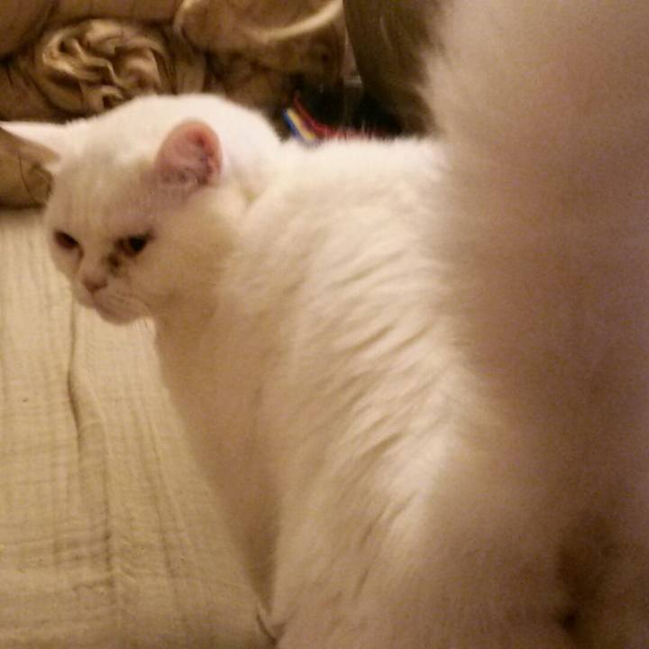 Ffd25a5e c499 458d 9dd8 9f245ab5ae4a