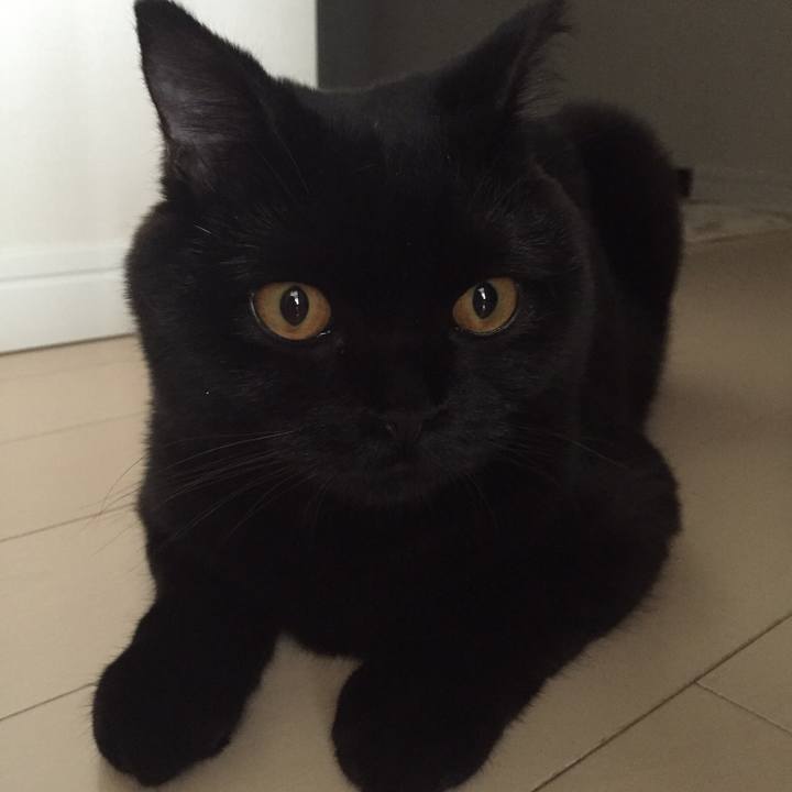 Ffd2755a 0612 44d9 b0a6 4873b0b789f1