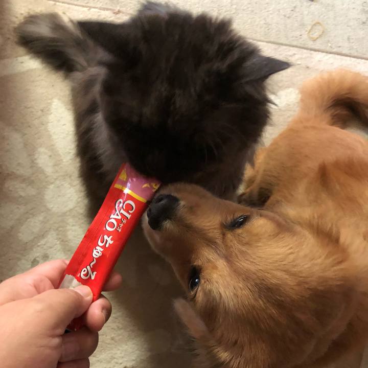 Ffd28e26 fbb2 4c6a 9c52 f3db0284d53c