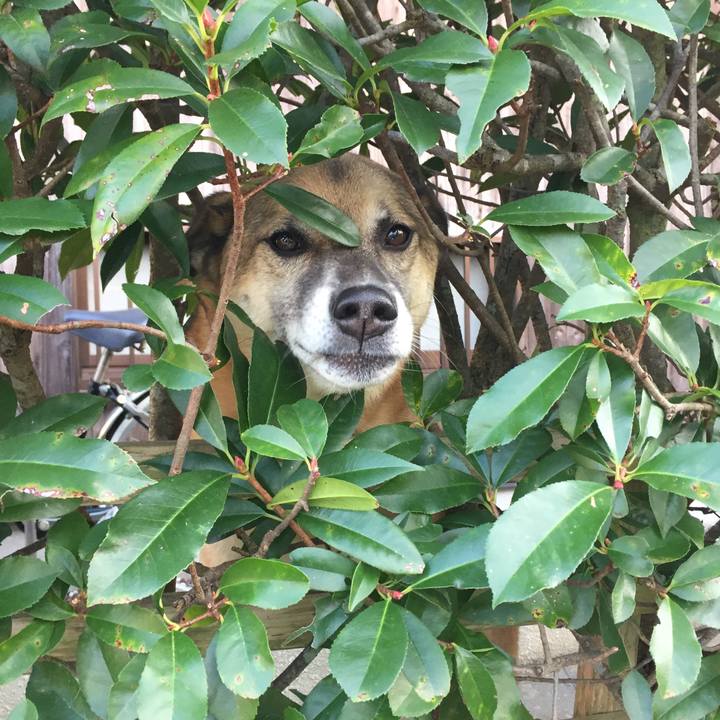 Ffd2e41f 51f2 499e 9141 8f42f6c3712f