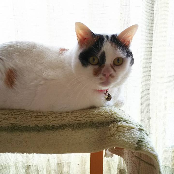 Ffd33575 f5b5 43d0 b5ea 9f9e979e88e3