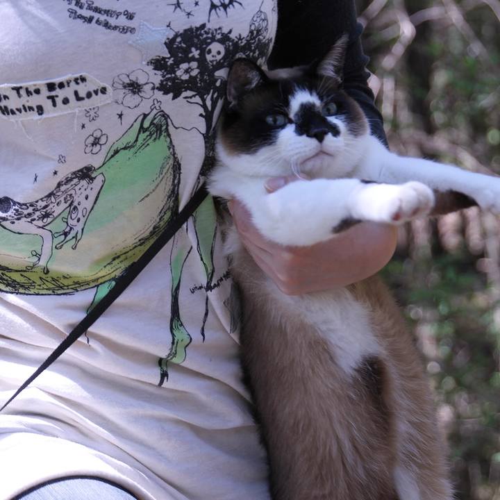 Ffd3dbae 9ee9 432e a689 a826bf887fad