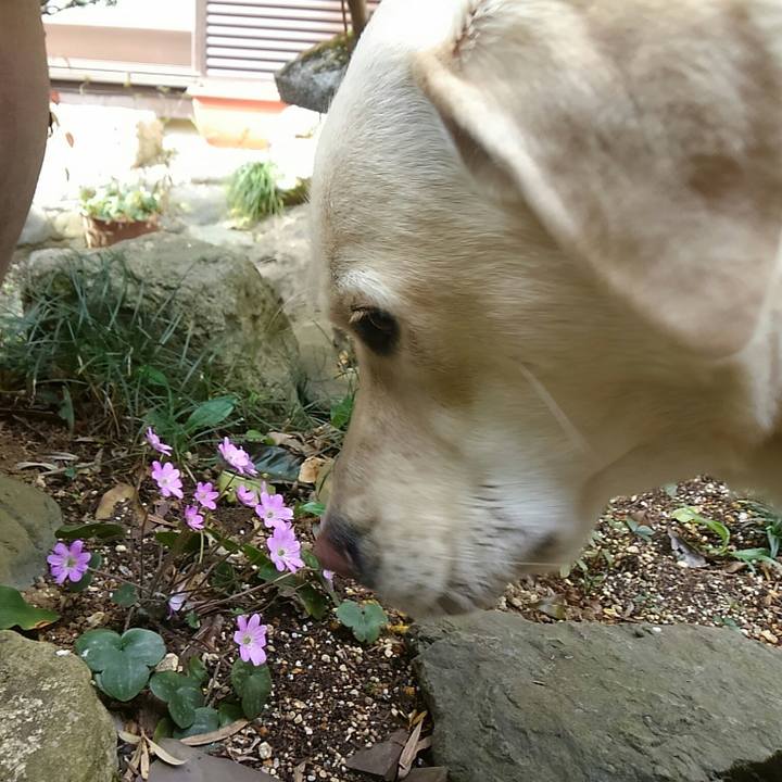 Ffd4094e dba8 4503 b610 3f7ba877cf3c