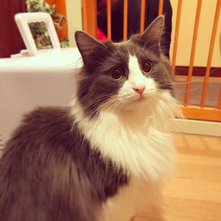 Ffd44ebf 2aa0 41f7 bd0d f0b427b3b5c8