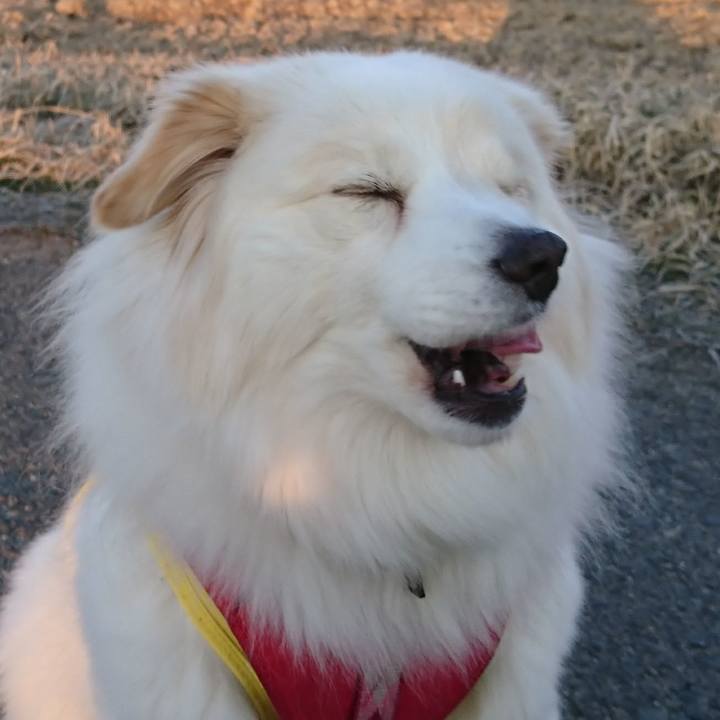 Ffd488e3 a594 4b36 aca5 e624efb789aa