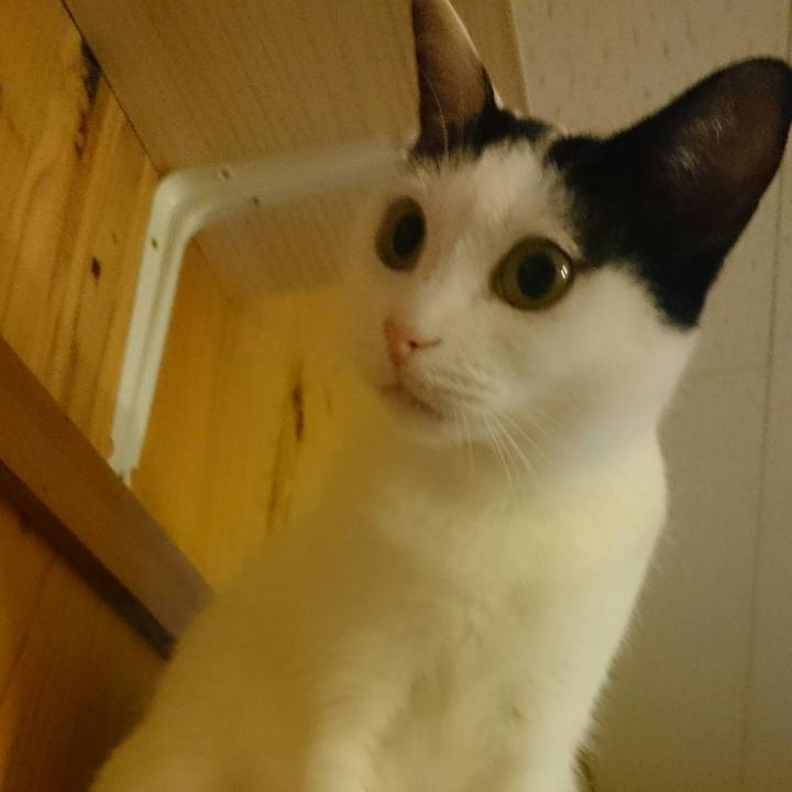 Ffd624ef 4b23 403c 8fd7 4f16d5bd814c