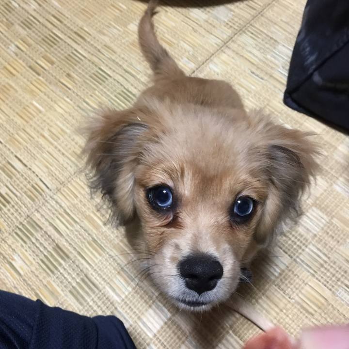 Ffd671d2 6049 40de 9164 bfac5472346b