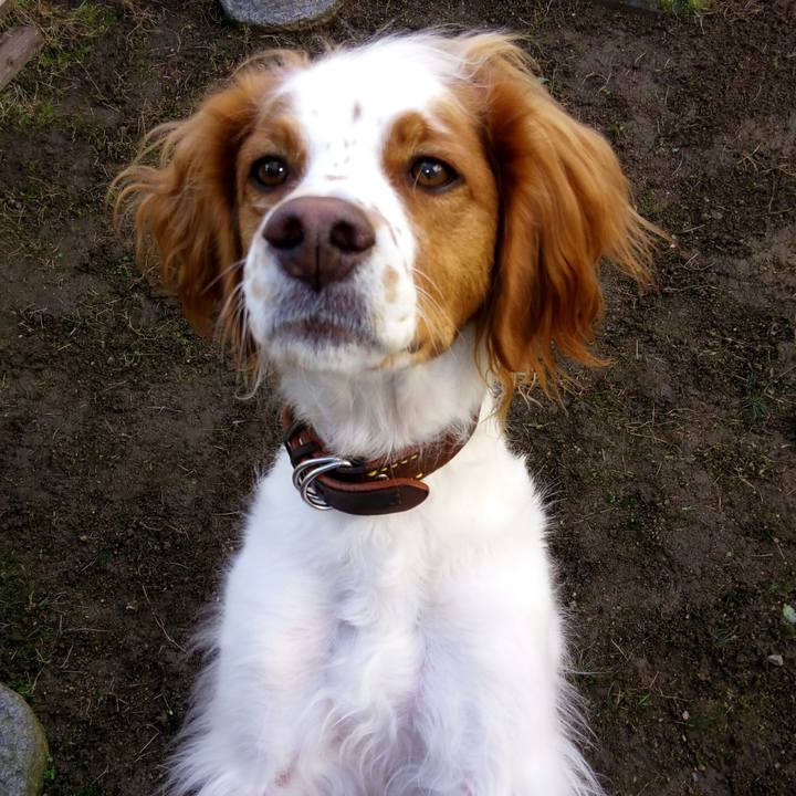 Ffd72ccc e041 47d6 92da 0c3df2ec607f