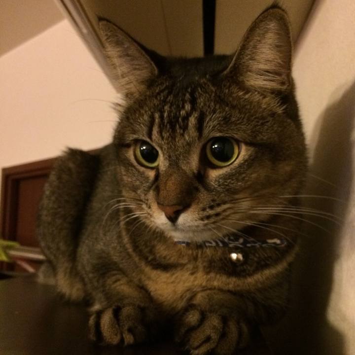 Ffd7387d 95f6 47b3 bf52 bdf4f88b5258