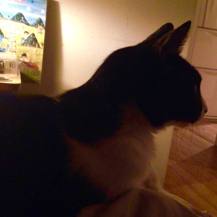 Ffd7ef44 33c9 4851 83f9 5b55c9050c7e