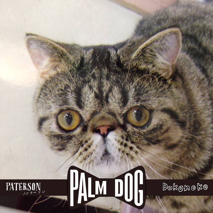 Ffd85ed3 57df 437e aa53 f5e1b9e7f8f4