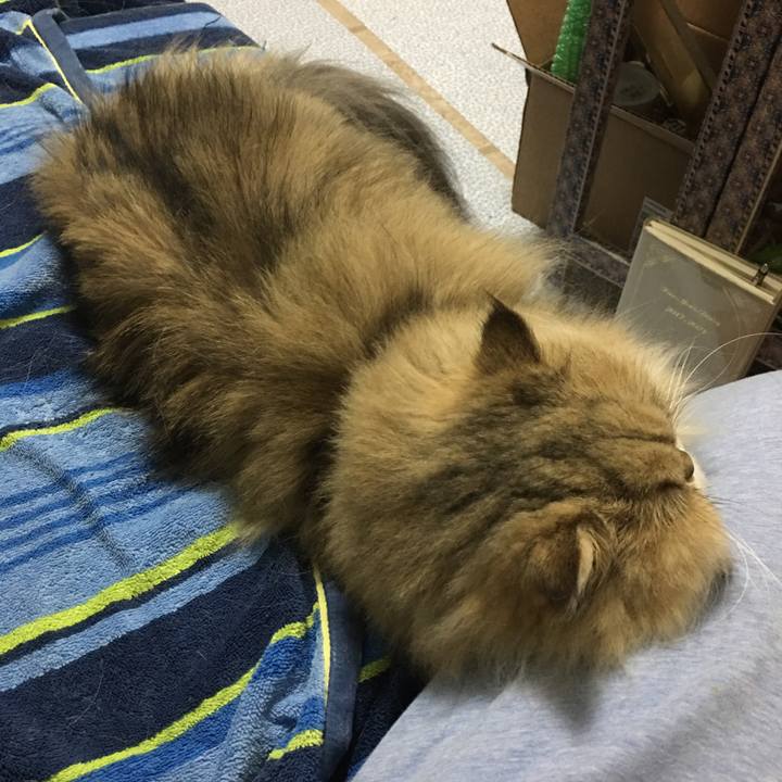 Ffd98d9c 38bb 4435 8c0f 5b31839835cf