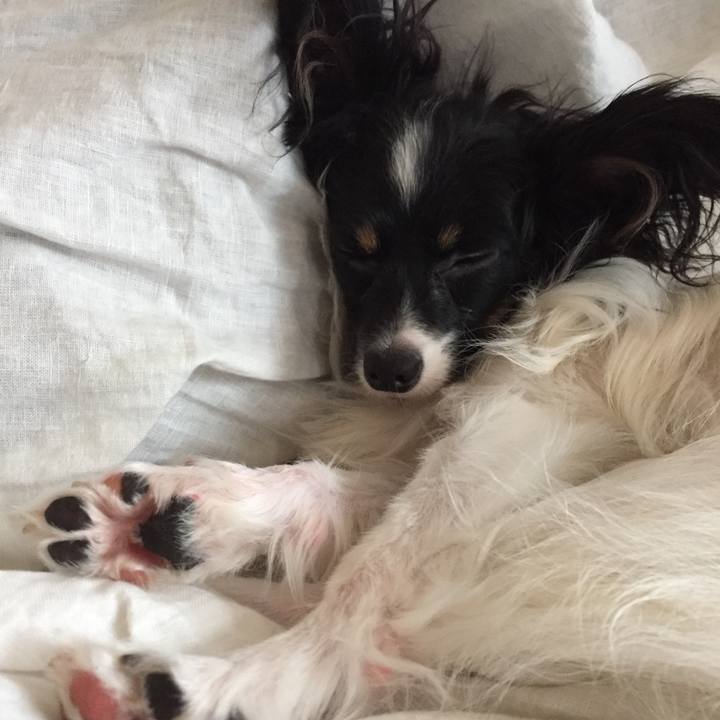 Ffd9e1d3 3a8c 440d a824 4424ea38ce88