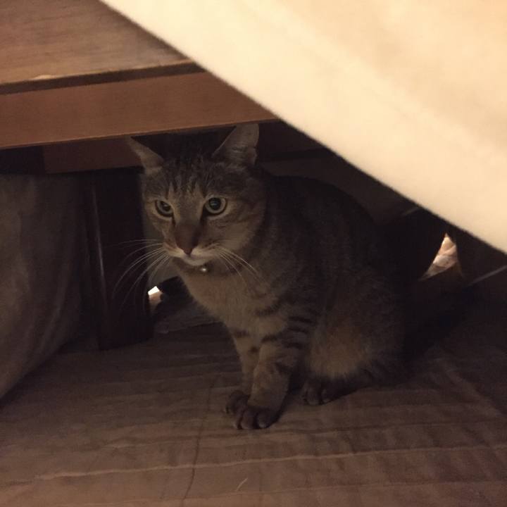 Ffdaa701 f56f 443a b864 ea5f0e2a54c2