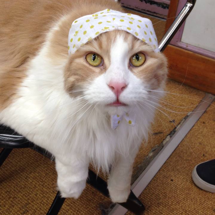 Ffdb052c 80d6 4818 ac08 be489ef0b87b