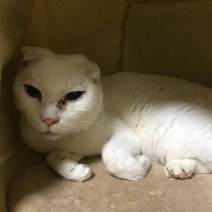 Ffdb7d77 d7ce 44a4 95ac b10d62d0509a